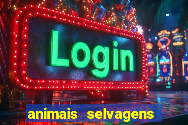 animais selvagens fotos e nomes